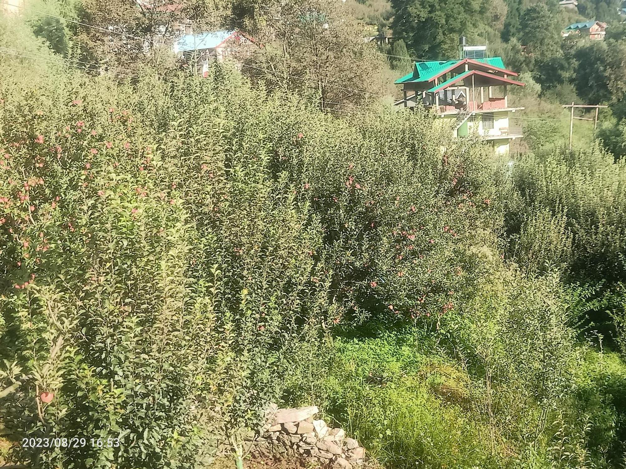 Lotus Retreat Villa Manāli Dış mekan fotoğraf