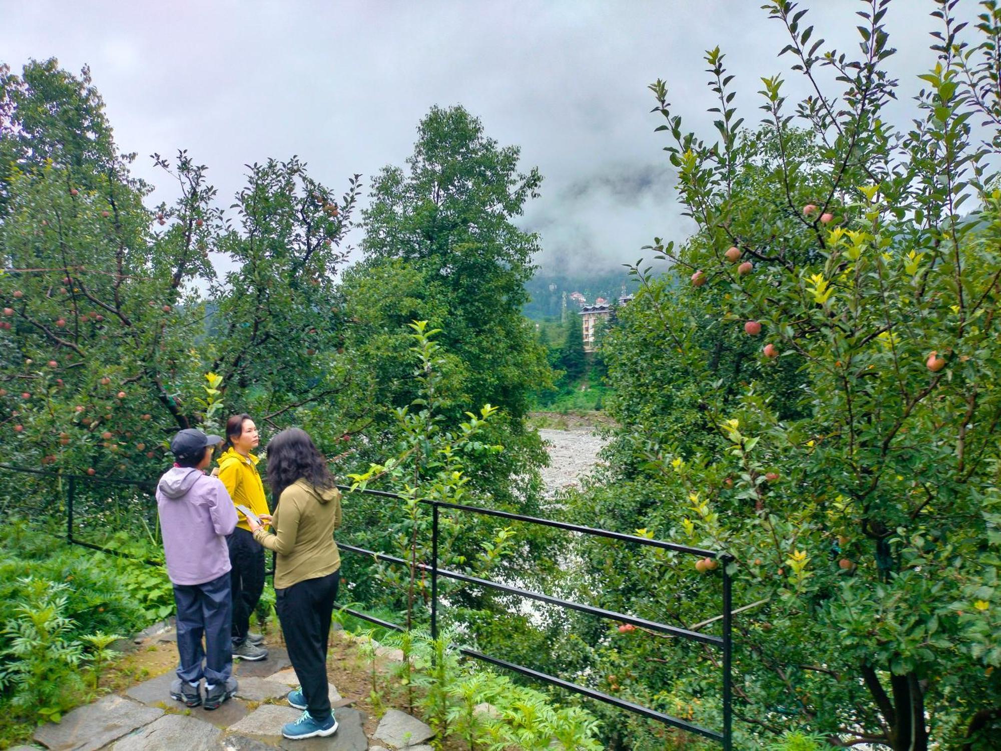 Lotus Retreat Villa Manāli Dış mekan fotoğraf